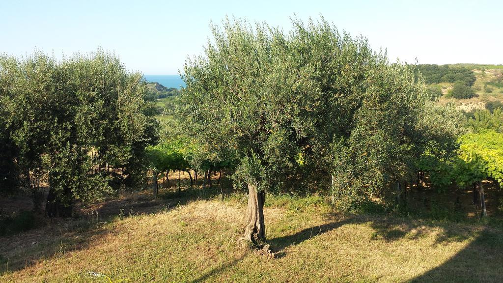 B&B Stella Dell'Adriatico Ortona Exterior foto